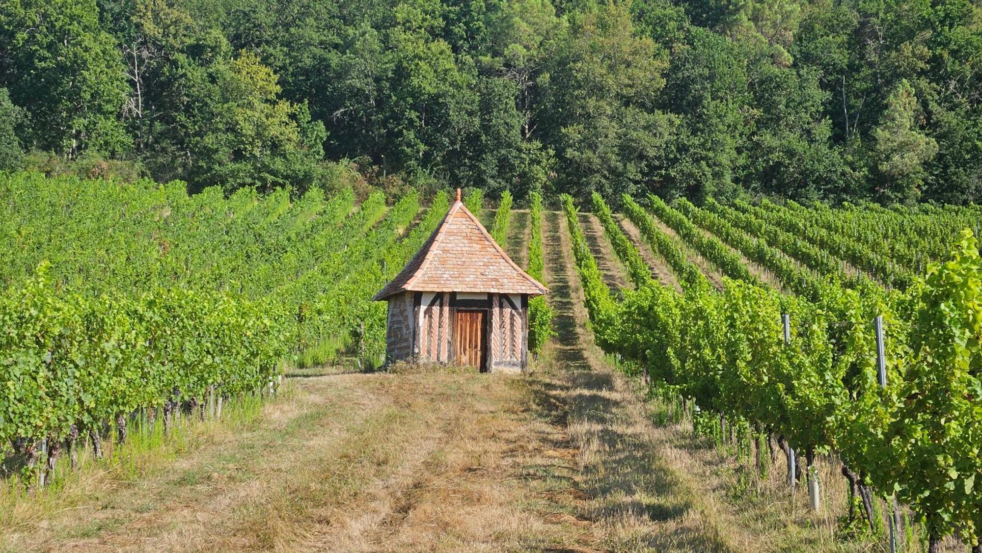 Chambres Et Gites Les Deux Chenes Pres De Bergerac Le Fleix 外观 照片