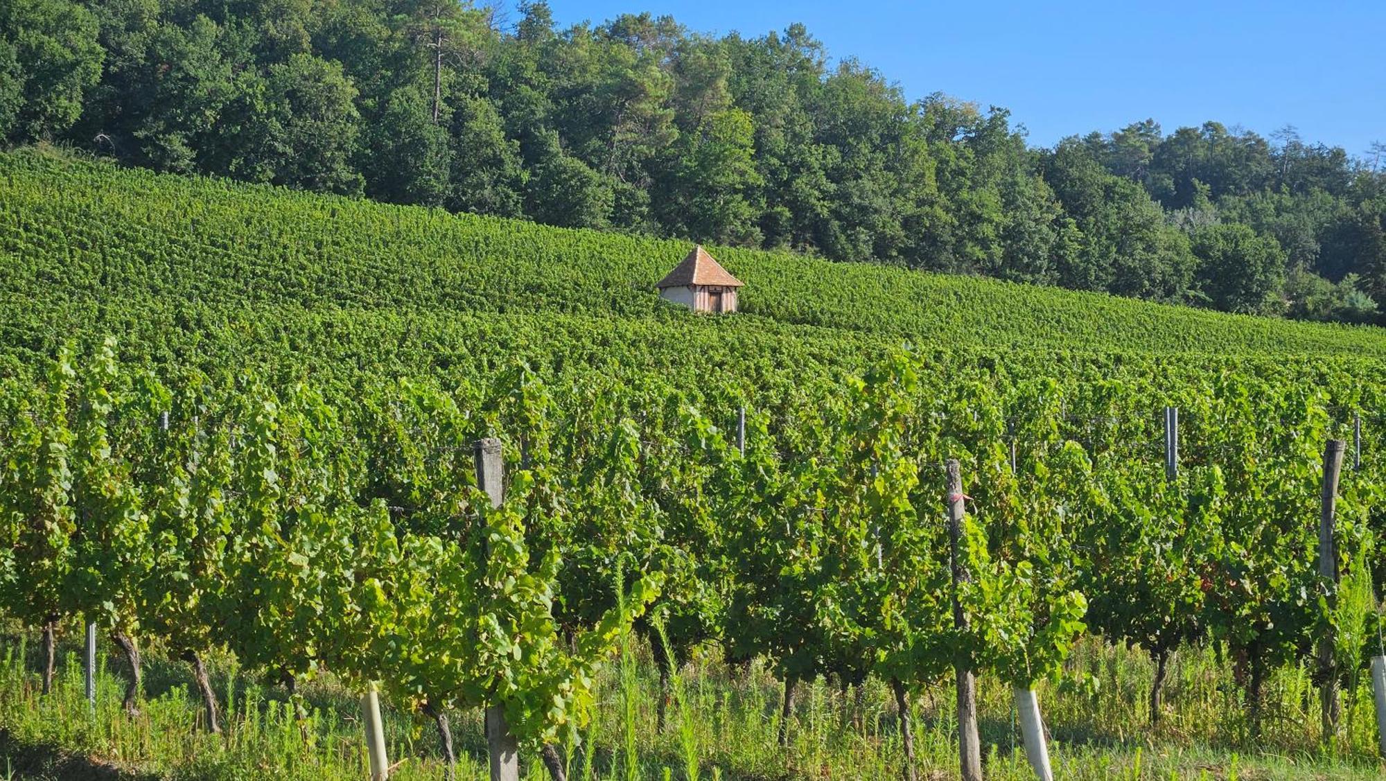 Chambres Et Gites Les Deux Chenes Pres De Bergerac Le Fleix 外观 照片