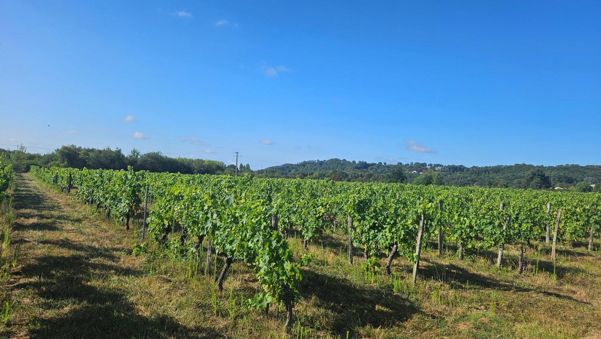 Chambres Et Gites Les Deux Chenes Pres De Bergerac Le Fleix 外观 照片