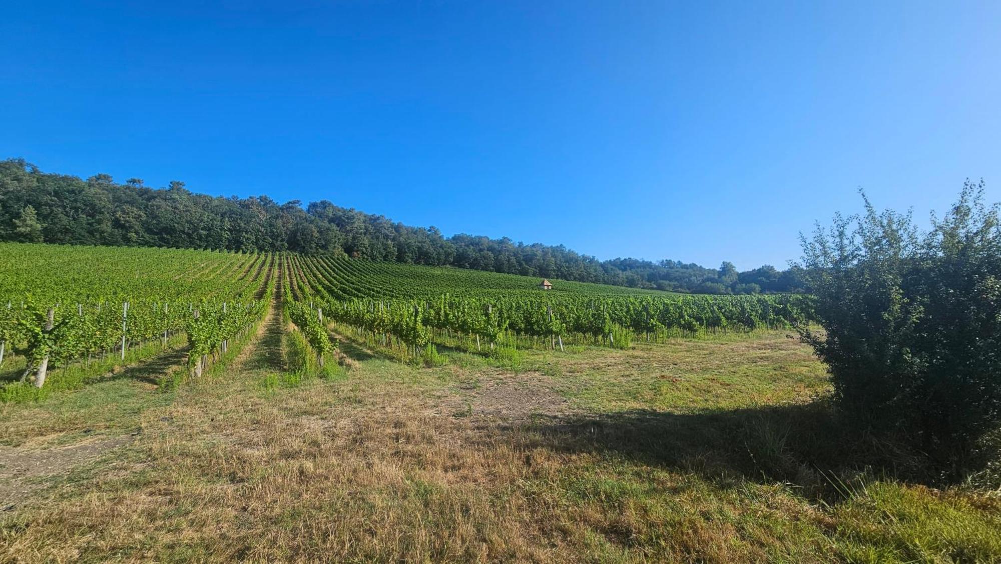 Chambres Et Gites Les Deux Chenes Pres De Bergerac Le Fleix 外观 照片
